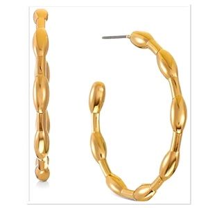 Gold Filled Hoop Earrings